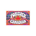 Forever Canadian car magnet, 7.5 x 4.5 inch retro design with red maple leaf, northern lights, and mountains